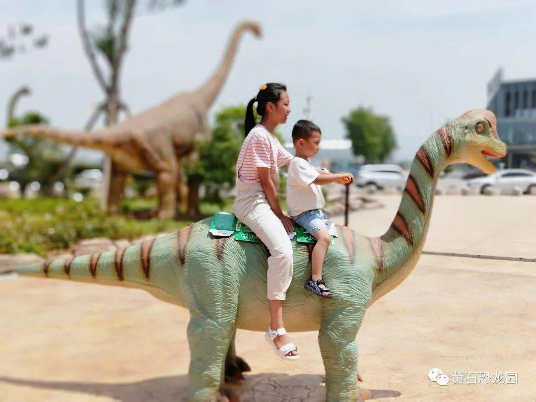 盘自己操控方向勇敢的小朋友骑上骑行恐龙备受大小朋友喜欢入口广场