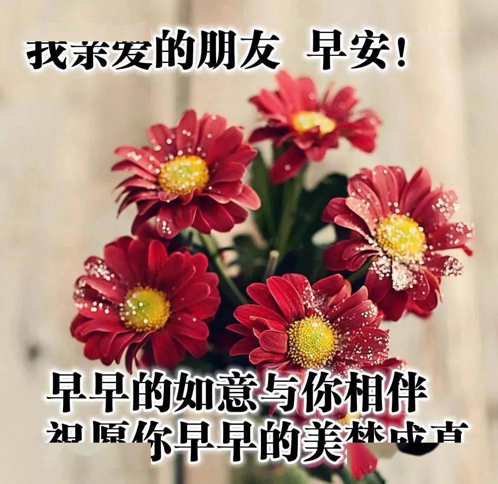 週六清晨早安祝福動態圖片大全最新早上問候語圖片加文字