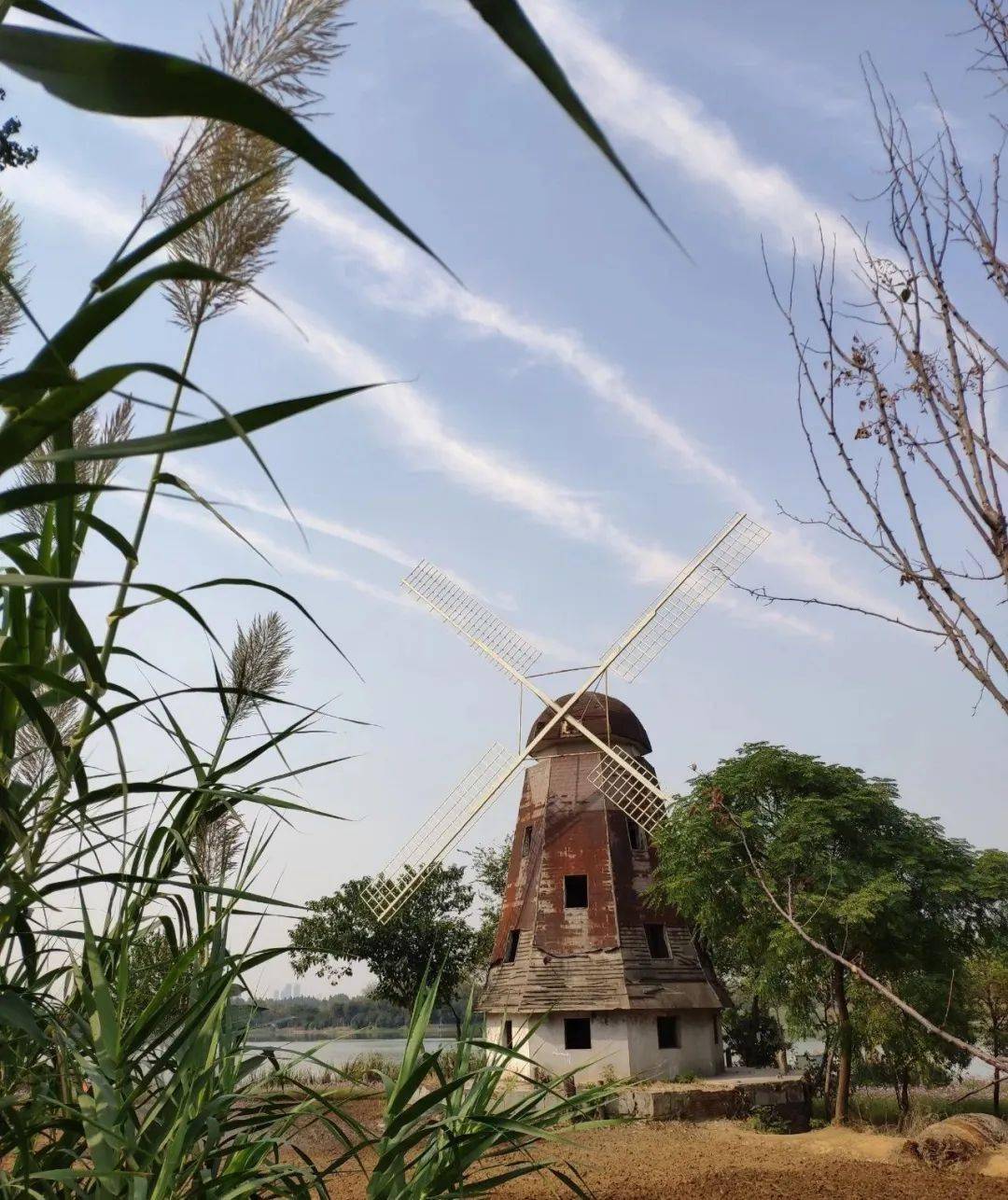 武汉这几个网红拍照地你们打卡了几个