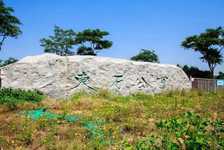 周末就来这儿副中心这个藏起来的湿地公园人少景美低调得令人心疼