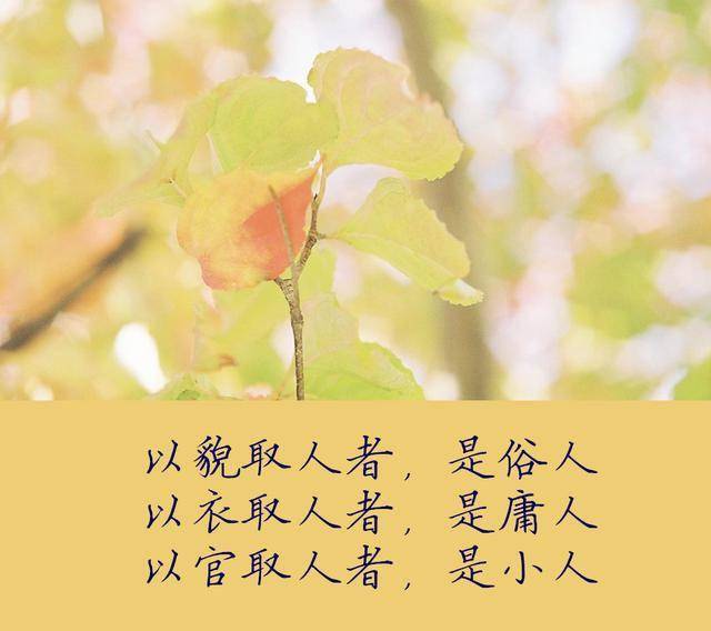 能人,一视同仁美文一个人的宽容既不是懦弱也不是忍让是肯定自己也