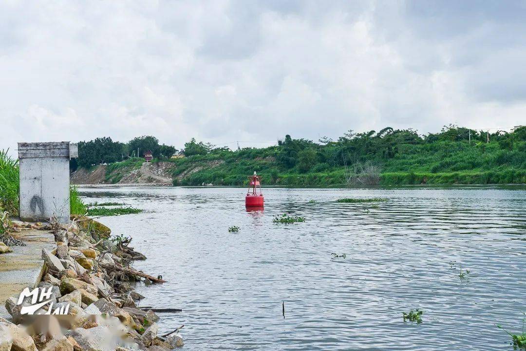 棉湖曾因ta而远近闻名现在却很少棉湖人记得