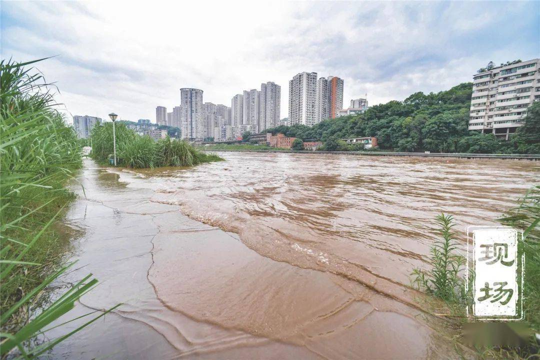 首轮洪峰过境!航拍 高清多图,綦江开启"看海"模式