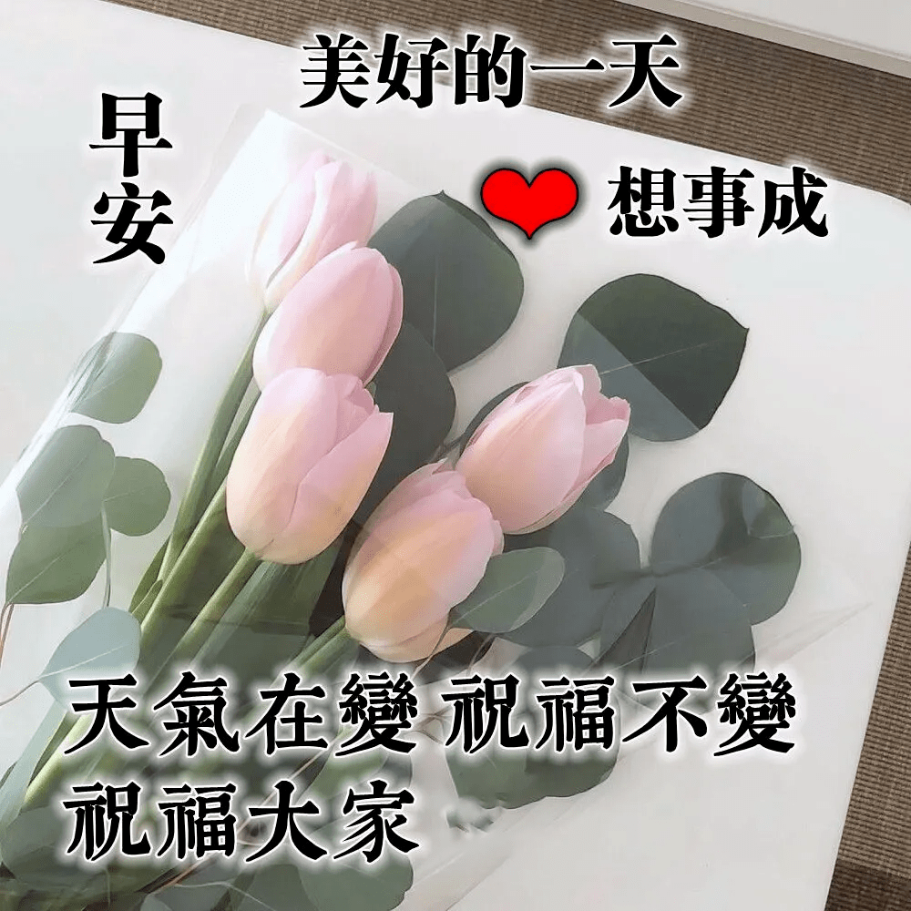 早上好圖片表情祝福語 週末早安祝福問候唯美圖片加句子