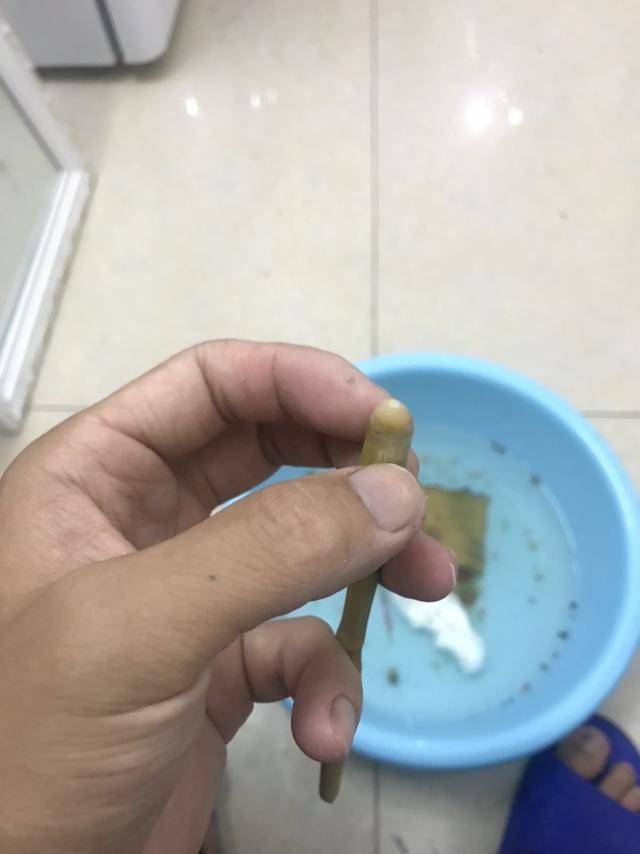 迷醉diy不能自拔摘魚器雖不值錢但樂趣無價