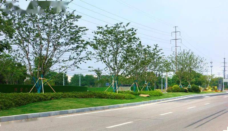 提升后的中分带花境提升前的中分带导头完成园艺化焕颜提升同样被精心