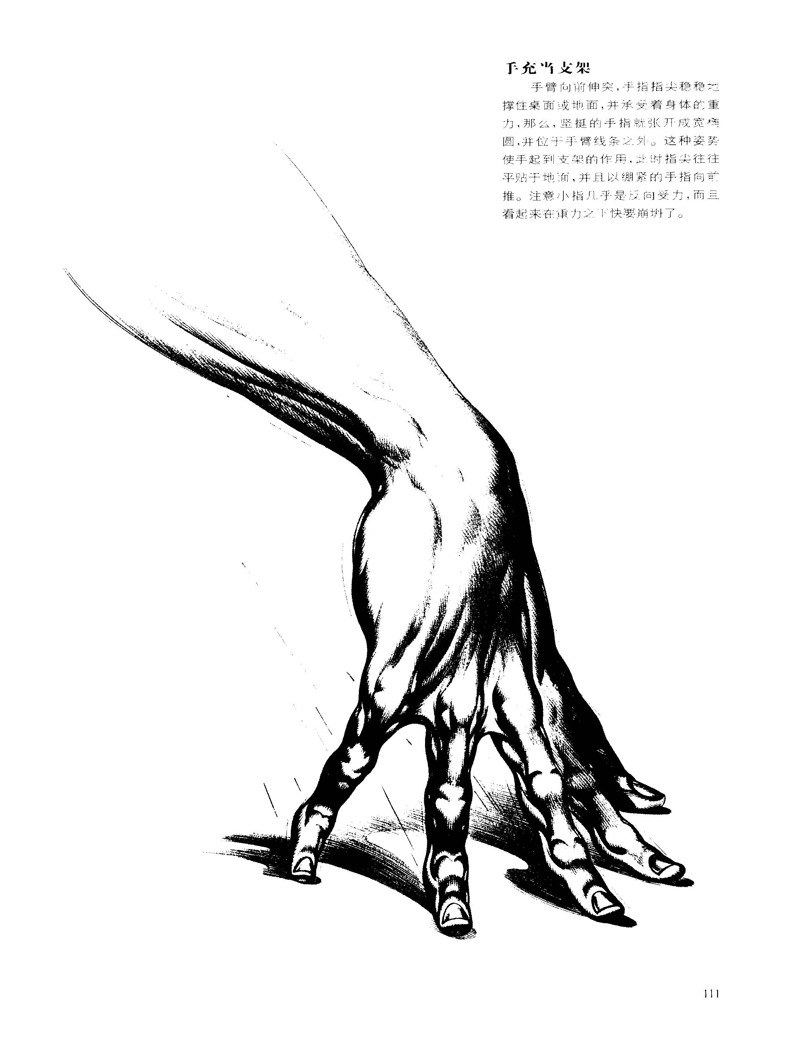 动态素描手部结构充当工具的手伯恩霍加思