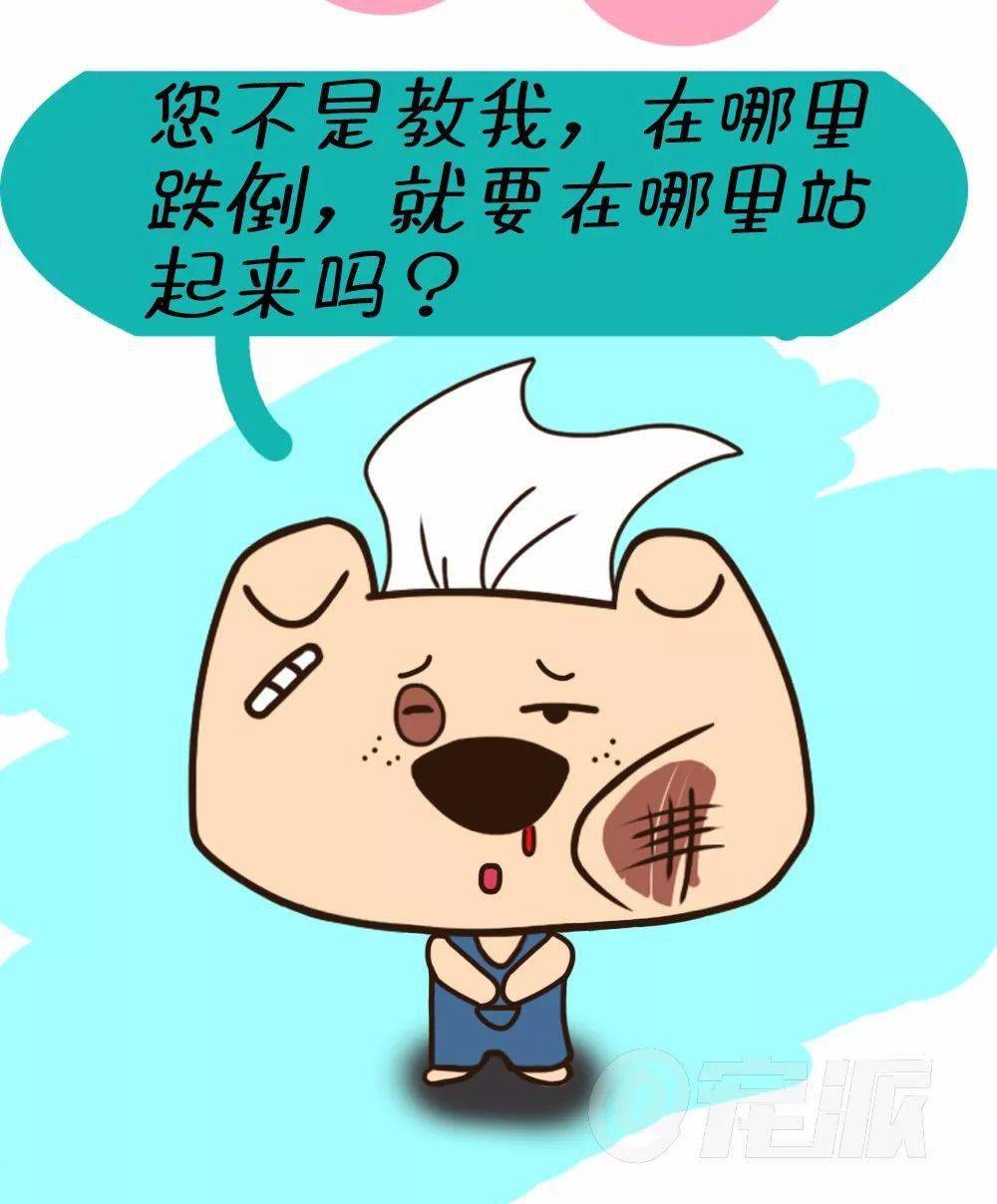 宠派漫画 从哪里跌倒,就能哪里爬起