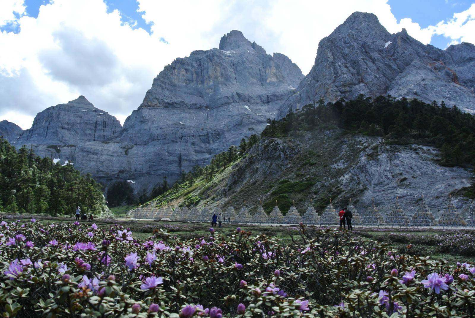 藏区脱贫 | 云南香格里拉市一个"唬小孩"的千年古村,如何走上致富路