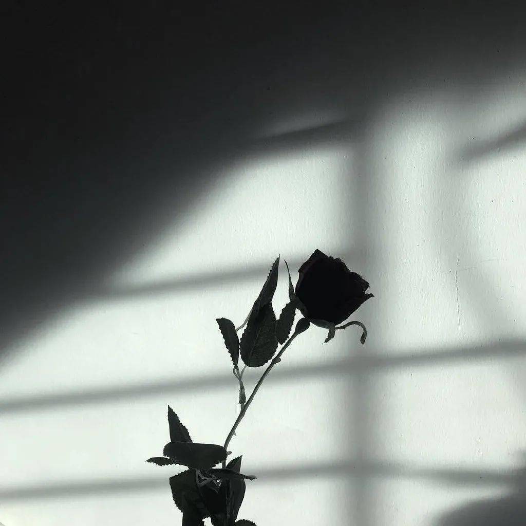 朋友圈背景图615