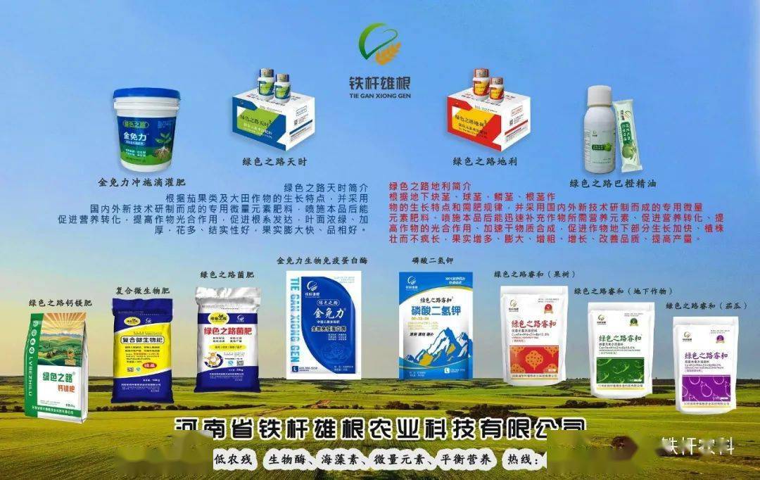 核桃树用了金免力冲施滴灌肥,长势好,效果农户赞.