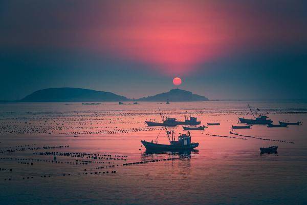 夜讀|周國平:家是一隻船,在漂流中有了親愛_港灣