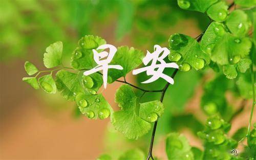 早安心语直视自己的畏惧擦干自己的泪水