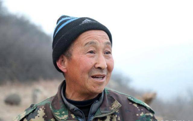 山西6旬老汉山中放羊看到金凤凰投喂4年如今活成啥样