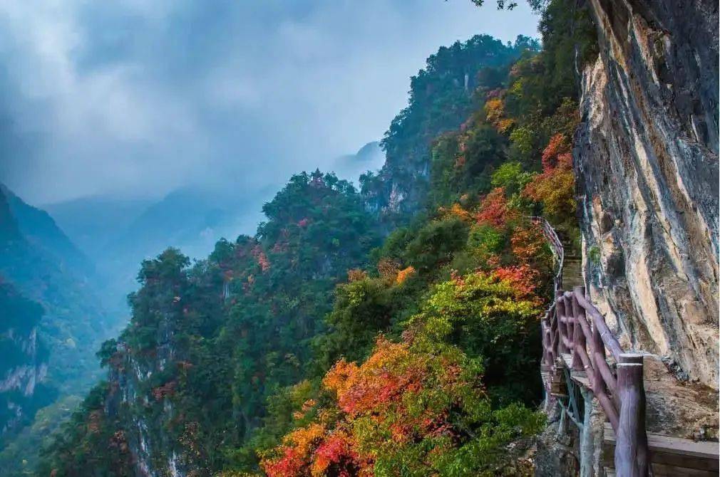 房县野人谷旅游区