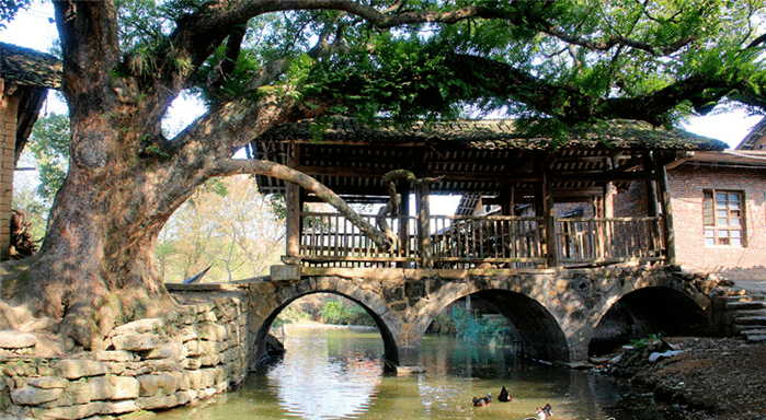 永州十处古石桥风景你打卡了没