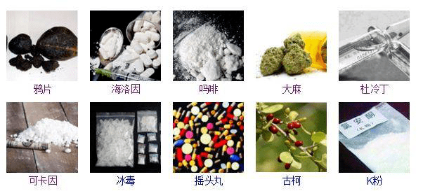 毒品从来源可分为三大类,一是天然种植类,如鸦片