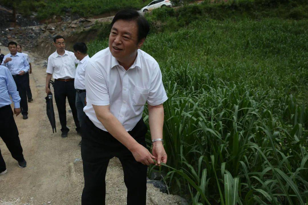 百色市委常委,靖西市委书记钟恒钦对中国中车集团充分发挥央企的责任