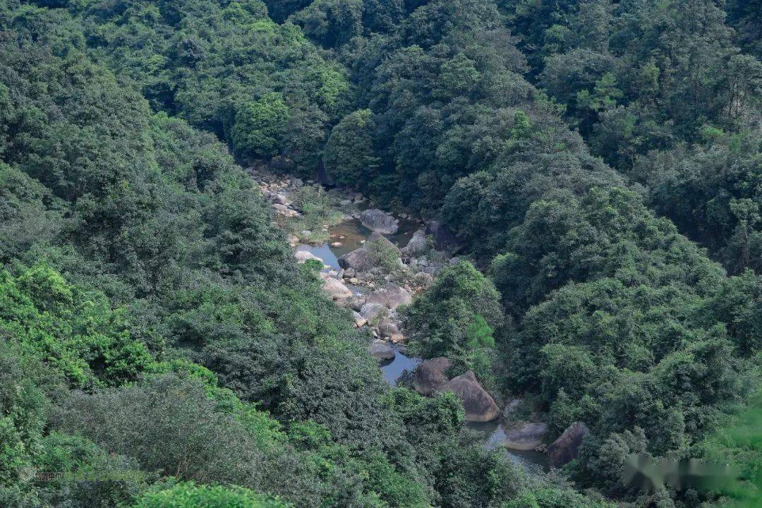 廣東象頭山國家級自然保護區位於廣東省惠州市博羅縣中部的象頭山山區