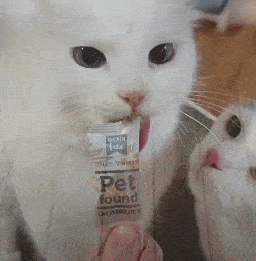 256_261gif 动态图 动图