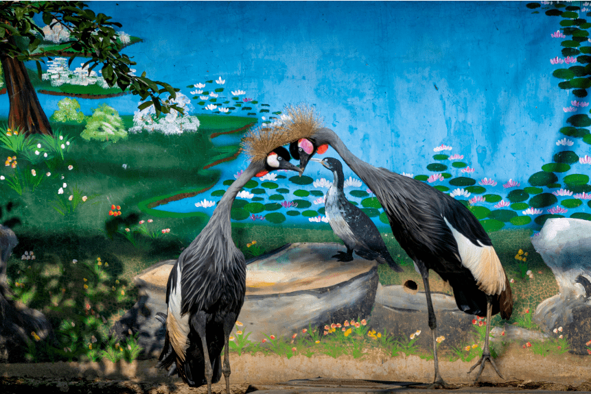 炫彩氣球嘉年華浪漫之旅過端午黃金河動物園萌寵互動動物氣球cosplay