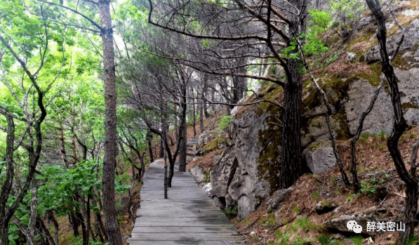 密山风景图片