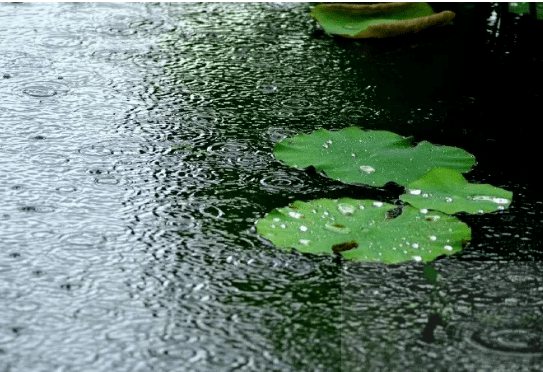 诗词小讲堂古人都如何在诗词里描写夏天的雨呢