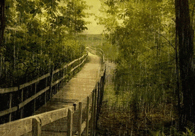 屋檐荐听敬一丹朗诵夏天的雨