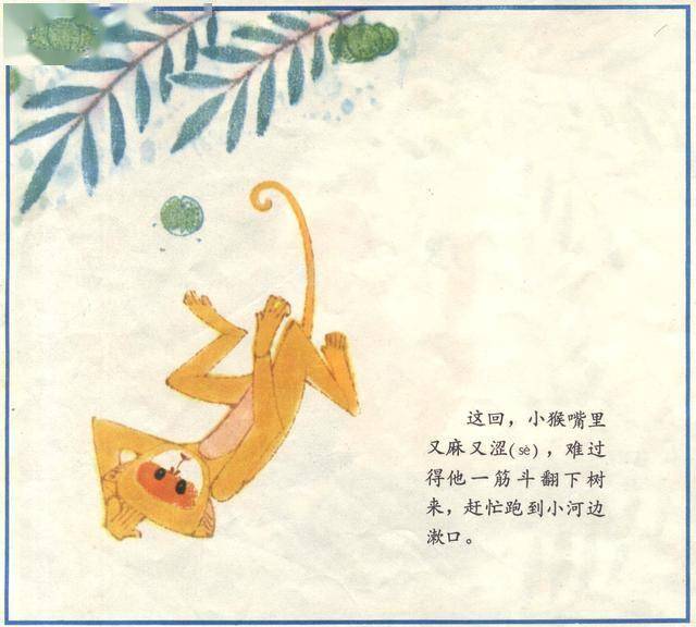 小猴吃瓜果绘本图片