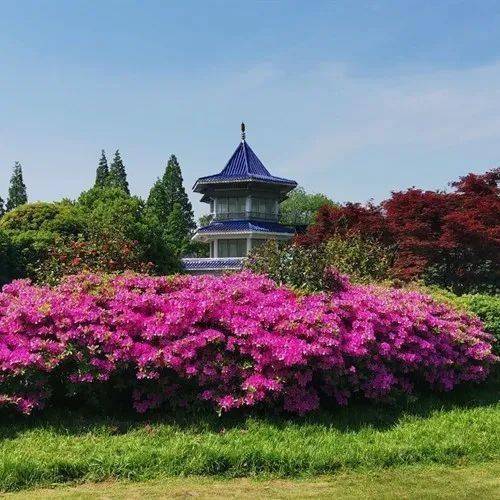 濱湖遺珠 | 大師李正造就的濱湖園林_太湖仙島