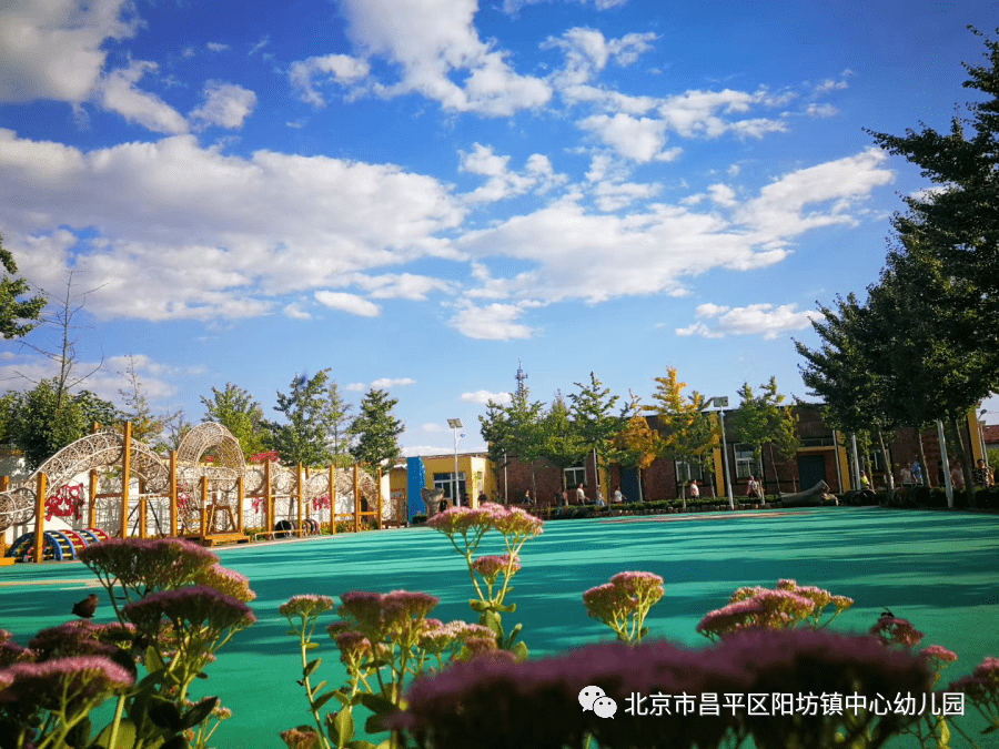 阳坊镇中心幼儿园招生啦