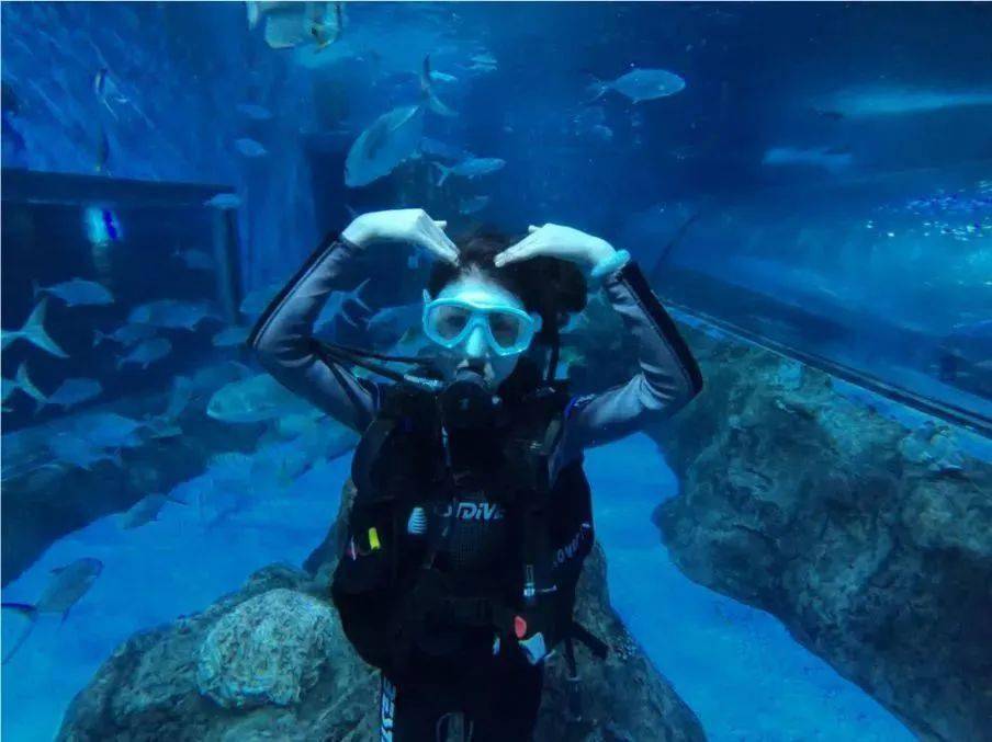 亲子旅行漫步海底领略迷人海底景观还可以观看海豚美人鱼表演哦燥起来