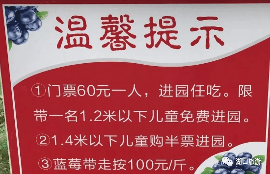 【湖口旅游】贵族水果-蓝梅采摘 南阳赏千亩荷花纯玩一日游 69元