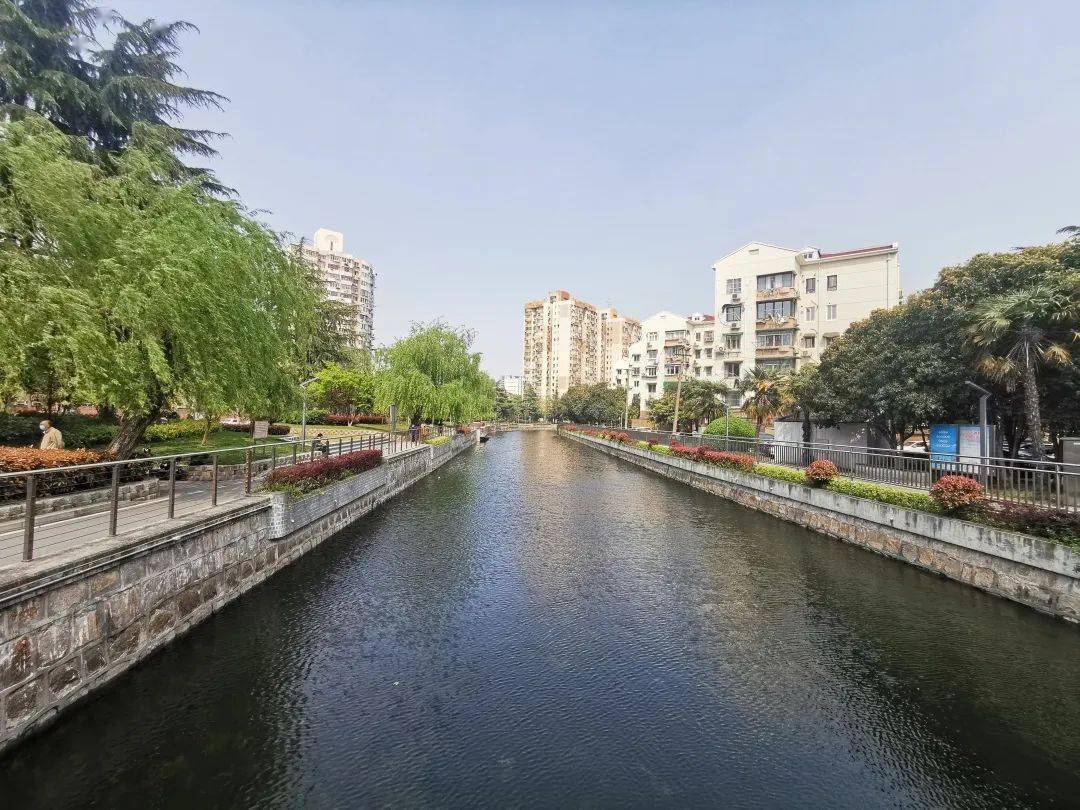 梅陇三村 王永更 作品名称:《最美河道和最美护河人》▲阳光居委