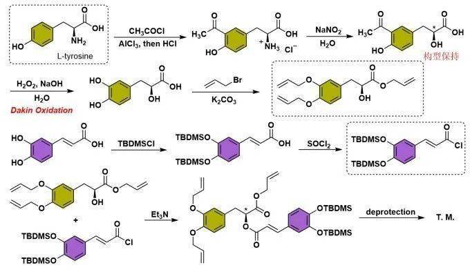 迷迭香的成分迷迭香酸rosmarinicacid