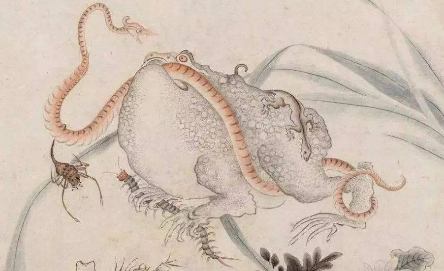 如何安稳度过即将到来的五毒月端午