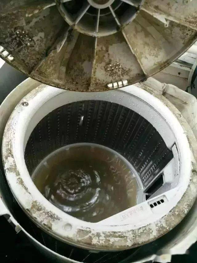 洗衣机从来没清洗过内桶竟变成这样