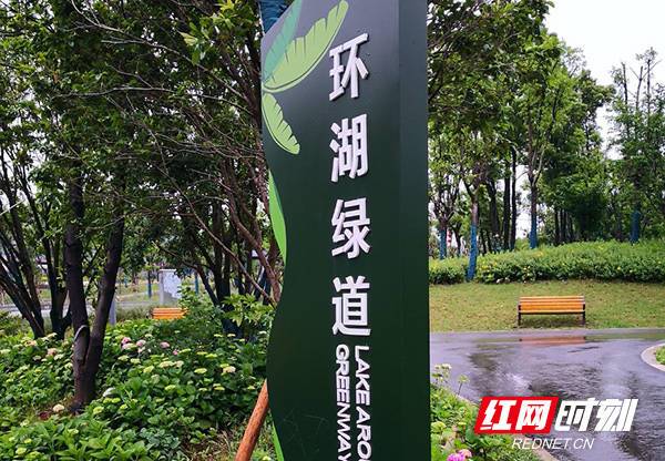 环芭蕉湖绿道标志牌.