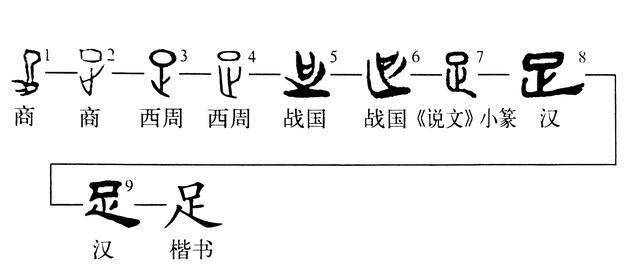 "实际是说它是会意字,既称会意字,就得考察字形,来看字形演变