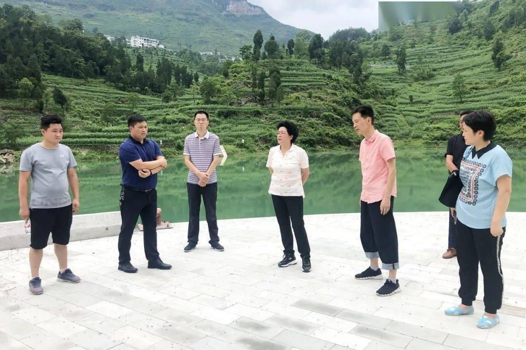 汇川区人大常委会主任,桐梓河(汇川段)区级河长黄晓霞带队深入山盆镇