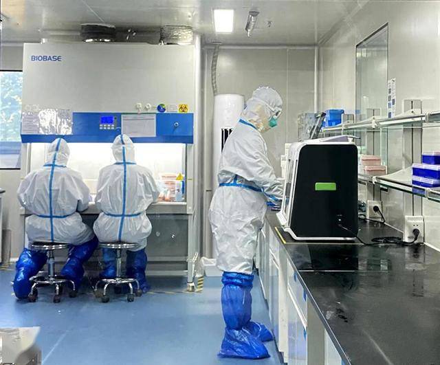 战疫行动美因医学快速行动开展核酸检测美年宁毅谨慎应对不会构成更大
