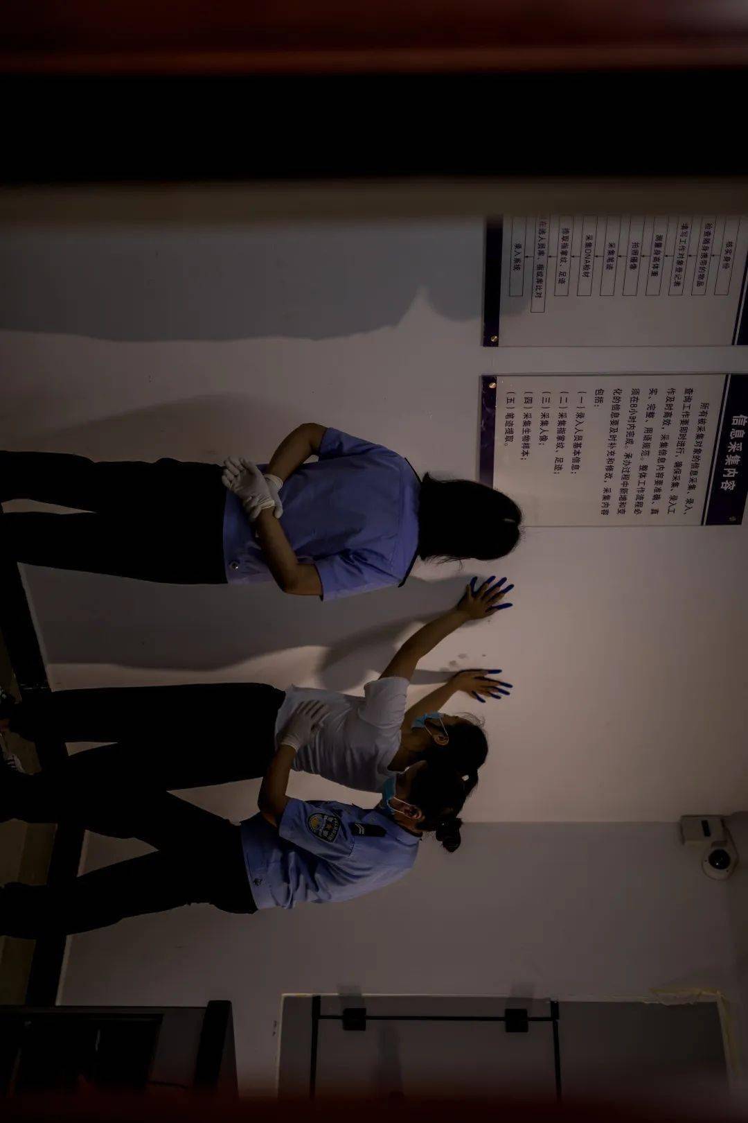 铿锵玫瑰绽边关