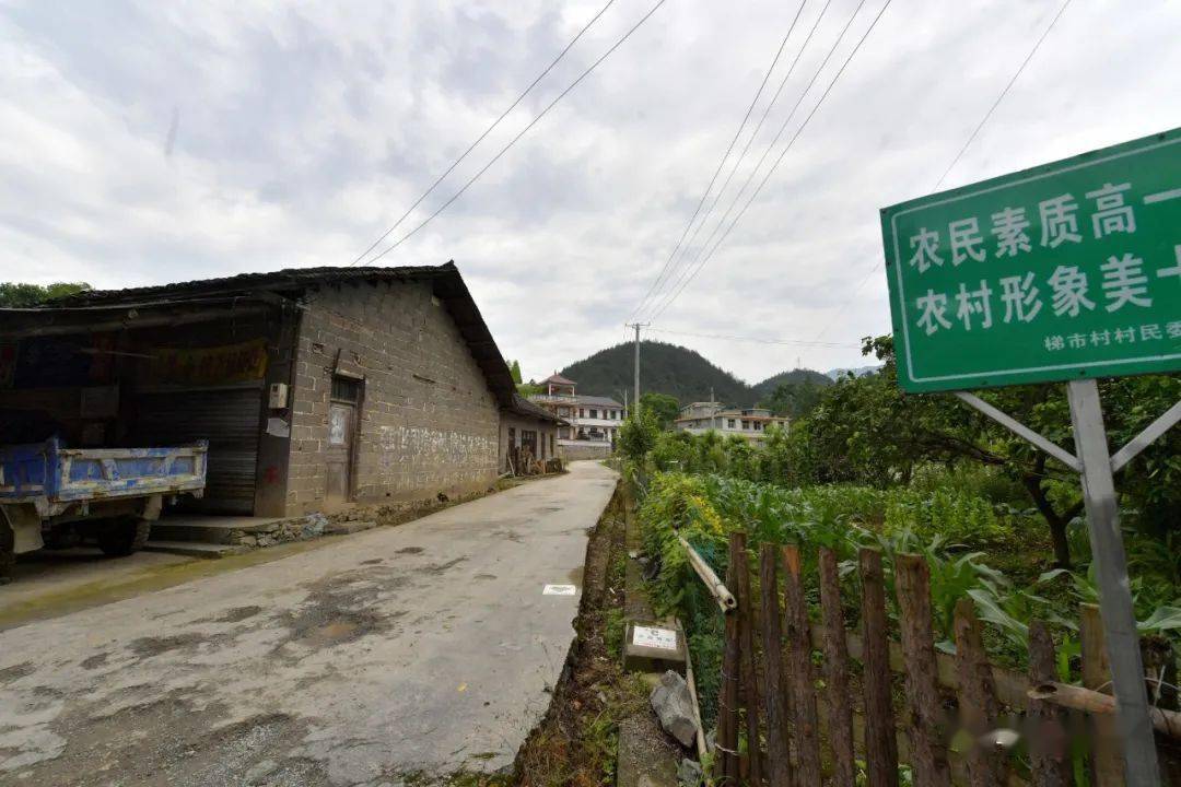 市县农技专家和村里的"田秀才""烟师傅""茶专家"等致富能人倾囊相授