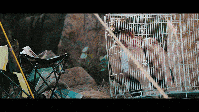 惊心一幕4000亿美的老板遭绑架当年香港悍匪重现江湖