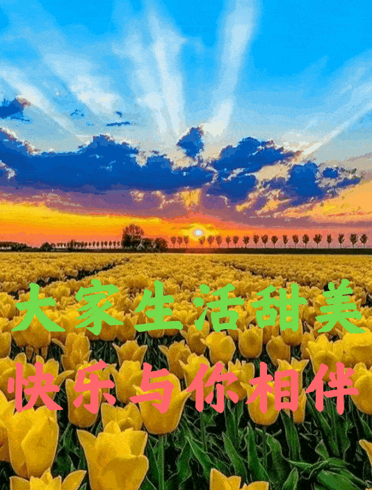 祝福如此美妙,你怎舍得隐藏微笑?早安!
