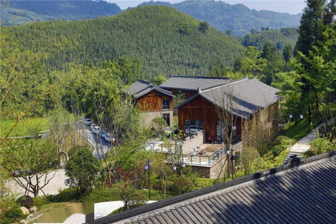 民宿别院,以及游客接待中心,餐饮中心和花海,茶山等生态文化旅游设施