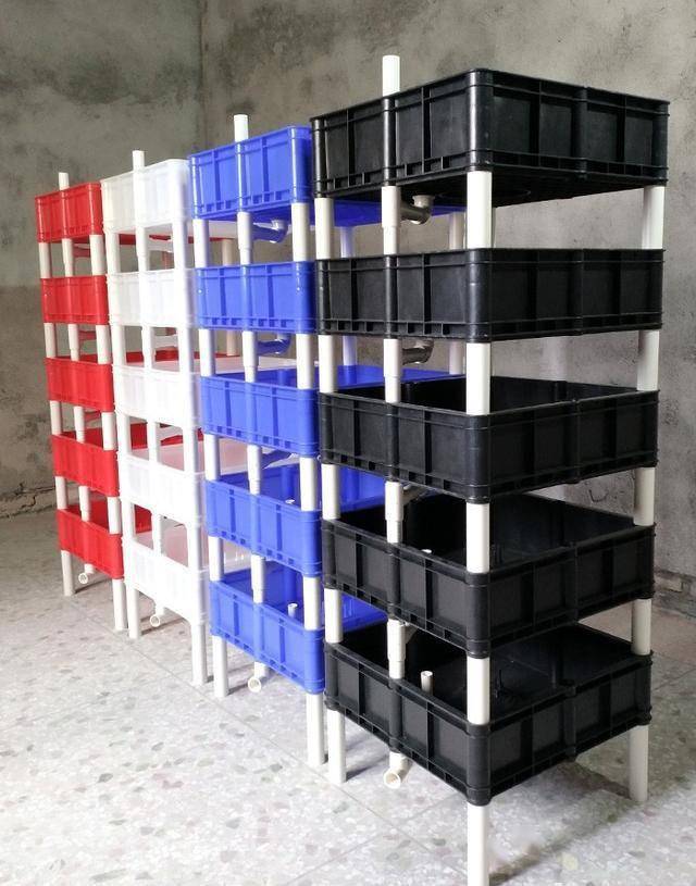 你是怎么养龟的常见的养龟模式分析