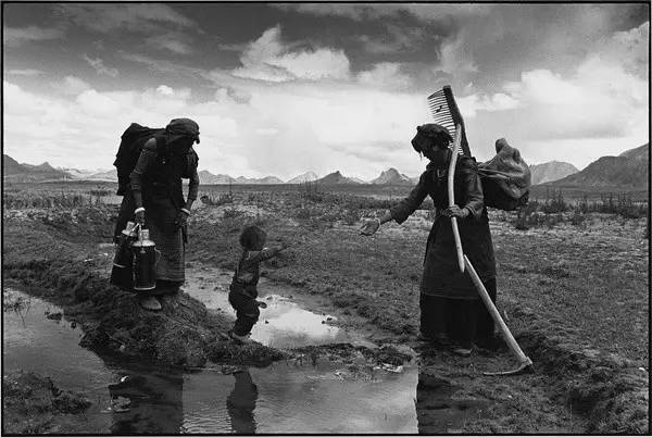 吕楠《四季》109幅作品分享