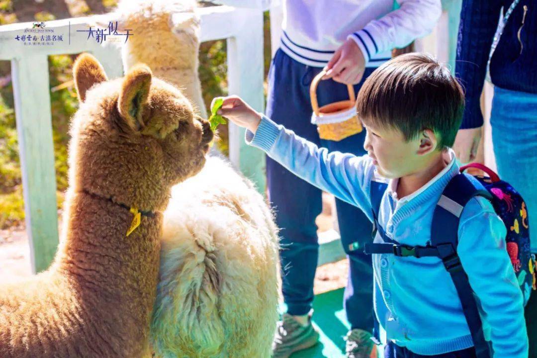 昆明朵拉萌宠乐园实景拍摄