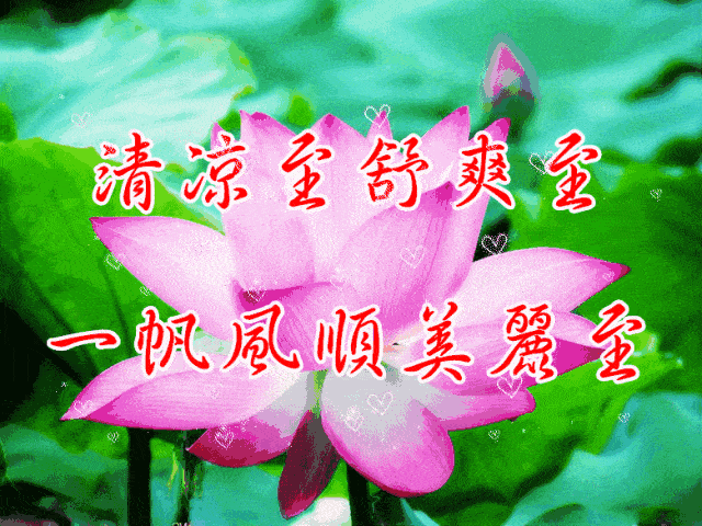夏至群图册_祝福